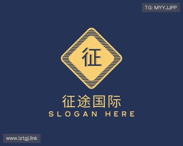 洞察征途国际